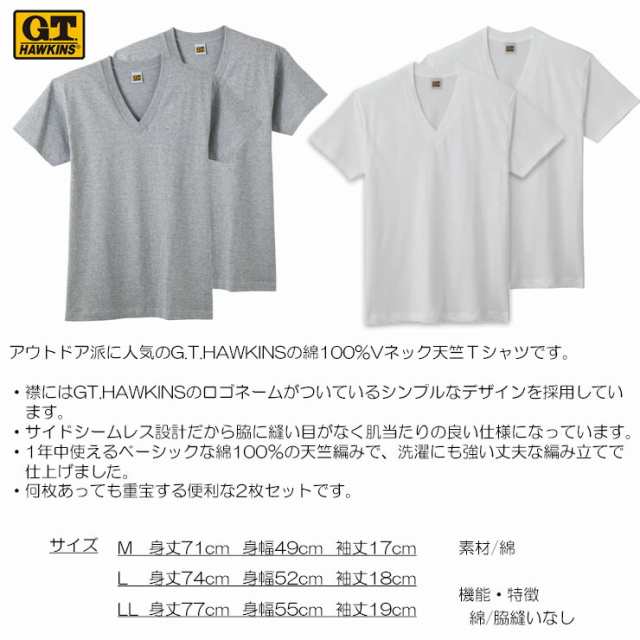 tシャツ メンズ 半袖 gt ブランド セット 2枚組 HK10152 グンゼ GT