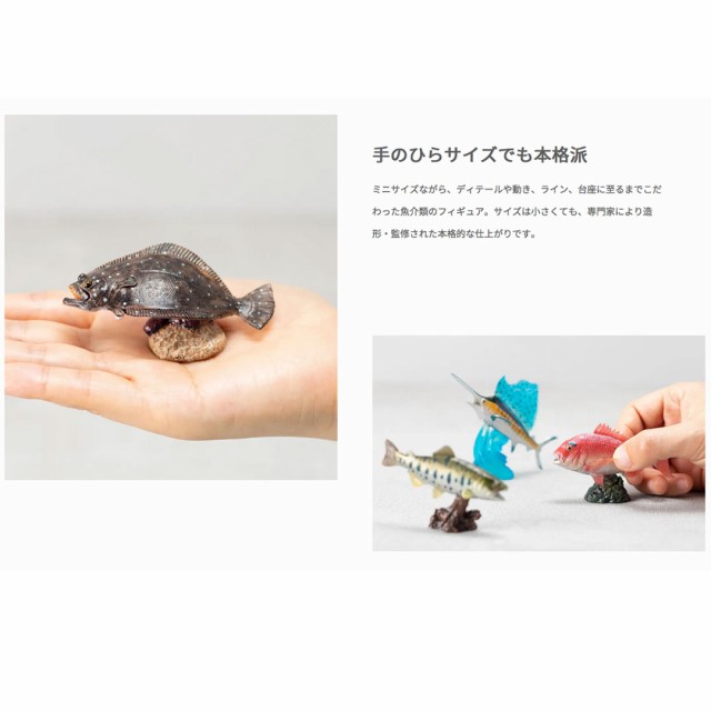 FAVORITE フェバリット AQUA FISH MINI MODEL アクアフィッシュミニ