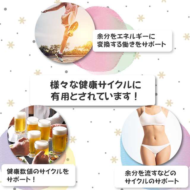 スルフォラファン粒 約1か月分 T-751 1000円ぽっきり ダイエット 健康