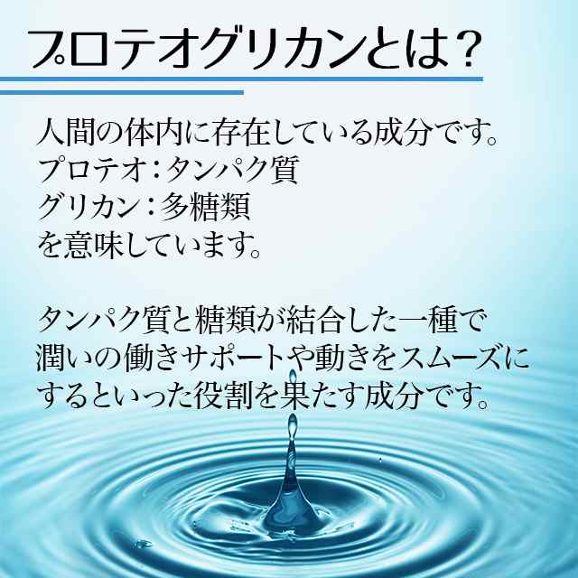 プロテオグリカン 約1か月分 C-533 健康 サプリ リプサ Lipusa 公式 選べるクーポン 11/1 9:59までの通販はau PAY  マーケット - サプリメント専門店リプサ