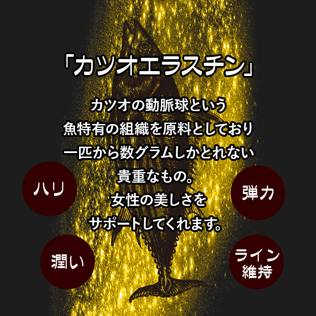 極 エラスチン 約1か月分×3袋 T-693-3 美容 カツオエラスチン サプリ リプサ Lipusa 公式 送料無料｜au PAY マーケット