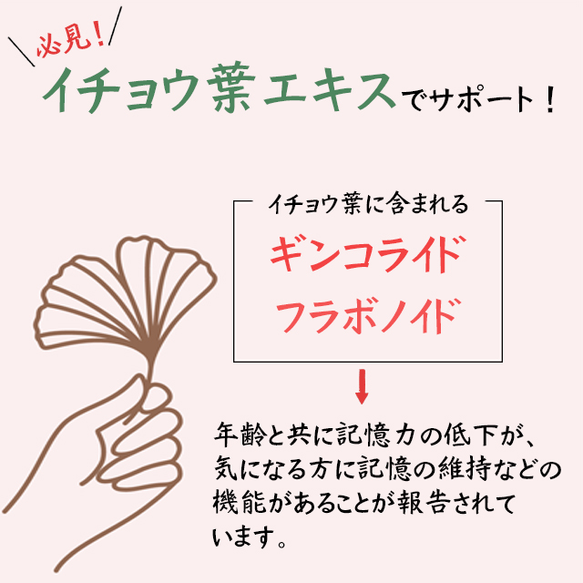 お一人様2点まで イチョウ葉セレクト 約3か月分 C 509 送料無料 Lipusa サプリ サプリメント うっかりの通販はau Pay マーケット サプリメント専門店リプサ
