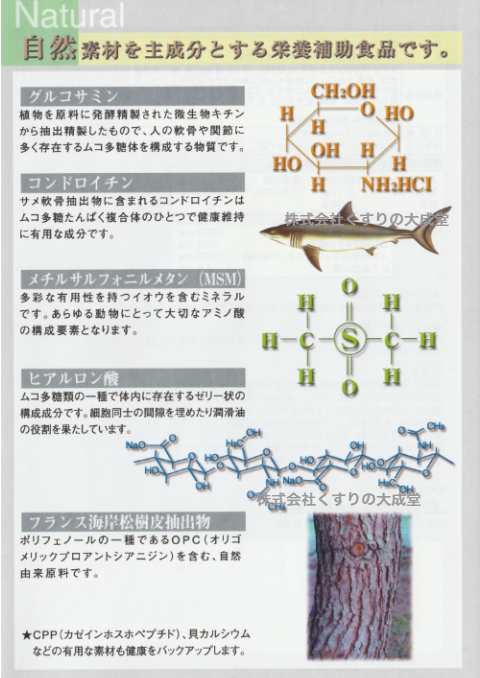 節々爽快MSM粒 12個 日本ケミスト 節々爽快 ふしぶしそうかい