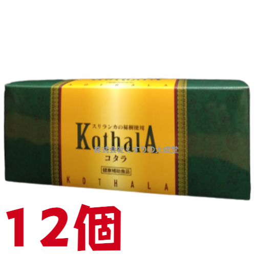 コタラ 60袋 12個 協和薬品の通販は