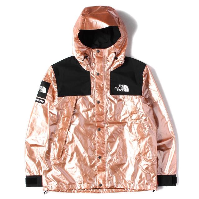 supreme the north face metallic mountain parka