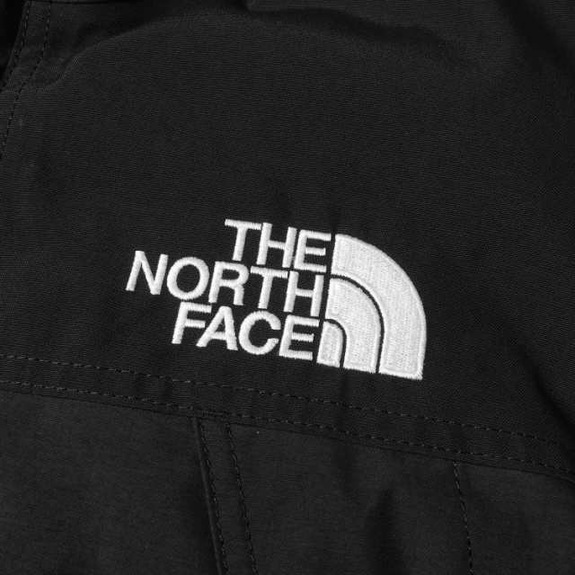 THE NORTH FACE ノースフェイス ダウンジャケット GORE-TEX マウンテン