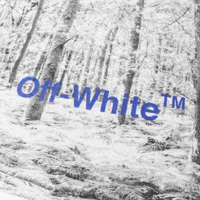 OFF-WHITE オフホワイト Tシャツ サイズ:L リアルツリー柄 オーバーサイズ クルーネック Tシャツ 18AW ホワイト 白 トップス カットソー 半袖 ビッグサイズ 【メンズ】