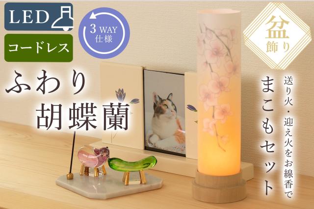 盆提灯 初盆 モダン ミニ お盆 提灯 新盆 お盆飾り 仏具 お線香のまこもセット 岐阜の誉れ シリーズ ふわり胡蝶蘭 コードレス led お盆用品 お供え おしゃれ 送り火 迎え火 15,167円