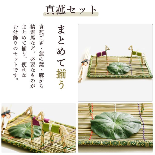 初盆セット 新盆セット 盆提灯 モダン風 5点 セット 華あかり 2本一対 白提灯 LEDろうそく 1本 真菰セット 仏膳 提灯 仏壇 贈り物 初盆提灯 新盆提灯 【初盆】【白提灯】【コードレス】【ミニサイズ】【LED】【和創作　あんどん】