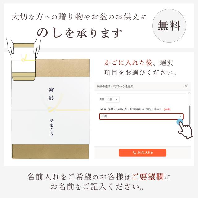 盆提灯 初盆 新盆 仏具 単品 八女・ととのえる燈 シリーズ 吊り提灯 御殿丸 美吉野絹二重絵入 11号 電池式 コードレス LED 和 行灯 提灯 仏壇 仏花 贈り物 やまこう 山幸 (代引き決済不可商品) 【FJK】_4