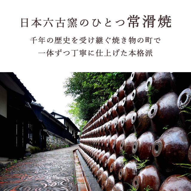 招き猫 常滑焼 貯金箱 金 6号 18.5cm 選べる右手 左手 陶器製 貯金箱 開運グッズ 縁起物 日本製 和風インテリア 開店祝い ギフト