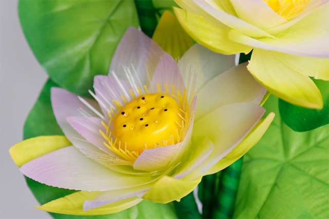 盆提灯 初盆 新盆 提灯 花 led グランドルミナス ハス四花 蓮華の夢路