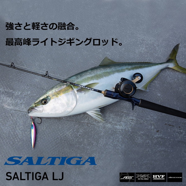 ダイワ ロッド ソルティガ LJ 61H/XHS-S スピニングモデル [6・大型]_1