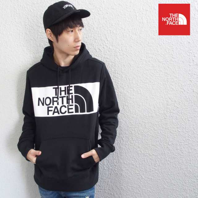 the north face edge to edge hoodie