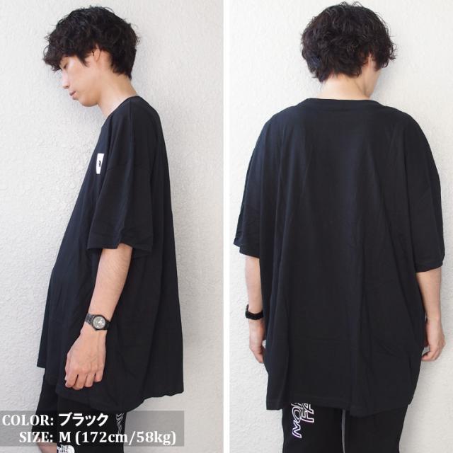 ノースフェイス Tシャツ 半袖 メンズ レディース THE NORTH FACE