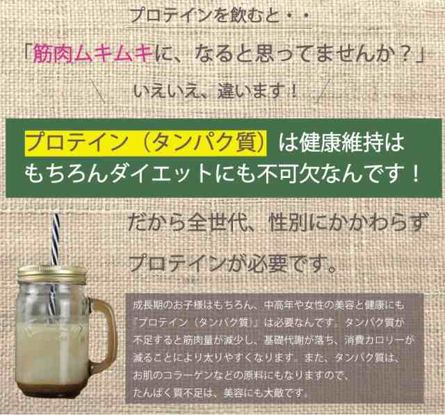 非加熱ヘンププロテインパウダー 400g 純度100％ 麻 ビーガン仕様に 無添加 ボタニカル ノンフレーバー ビーガン 送料無料 ダイエット  の通販はau PAY マーケット - サプリマルシェ