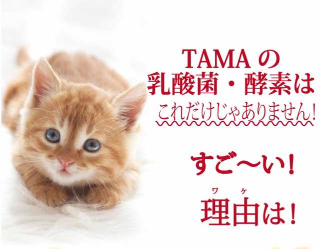 TAMAの乳酸菌 酵素』ペットサプリ最高の乳酸菌数3兆3500億個と85種類の