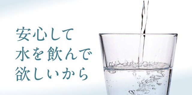 本命ギフト 水素のスティック 亜鉛プラス1本入180L用 水素ボール20％増量と亜鉛を追加 1日2L 3ヵ月使用可能 楽天総合1位獲得