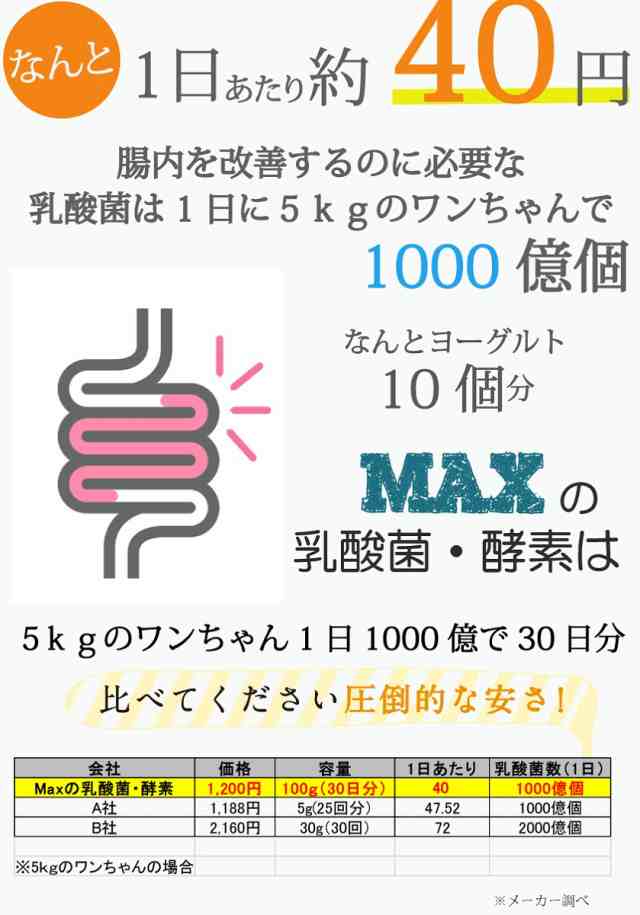 『TAMAの乳酸菌 酵素』100ｇ ペットサプリ乳酸菌数3兆3500億個と85種類の酵素 ネコちゃん用プレミアム乳酸菌 酵素 免疫力 整腸 便秘