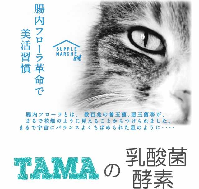 Tamaの乳酸菌 酵素 ペットサプリ最高の乳酸菌数3兆3500億個と85種類の酵素 ネコちゃん用プレミアム 送料無料 ペット 健康 長生き 猫の通販はau Pay マーケット サプリマルシェ