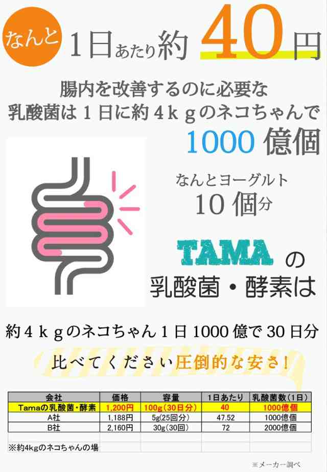 87%OFF!】 ペットサプリ 100g 最高の乳酸菌数3兆3500億個と85種類の酵素 乳酸菌プレミアム乳酸菌 酵素 TAMAの乳酸菌 送料無料  ペット 健康 長生き サプリ サプリメント 猫 racingarena.hu