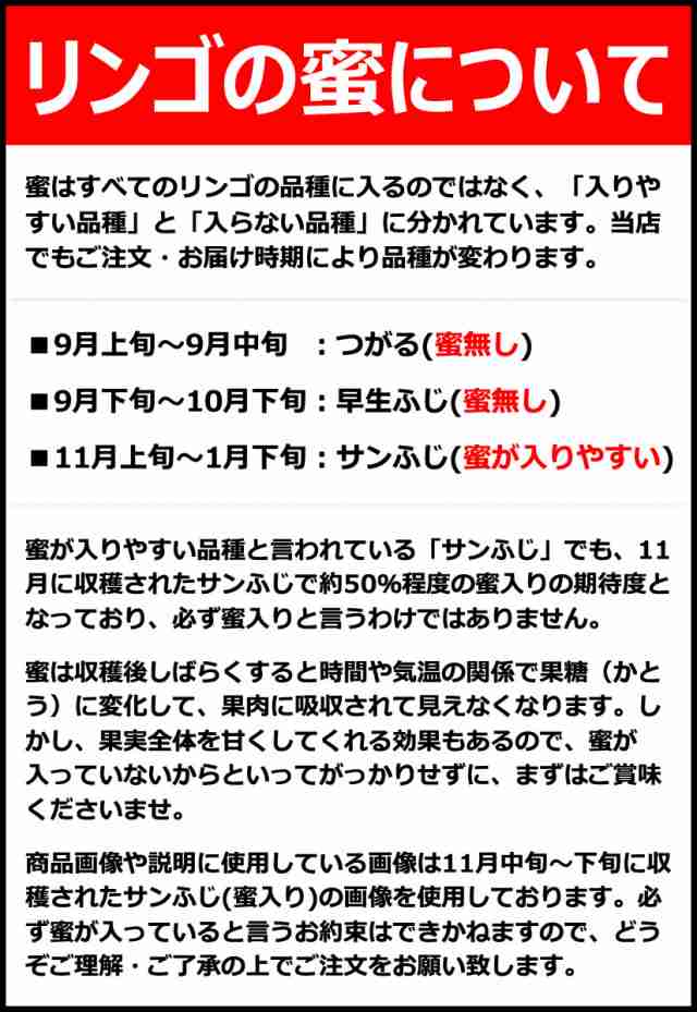 【出荷中】山形県産 りんご サンふじ 10kg(特秀品/28〜36玉入り)※日時指定はメールで※の通販は