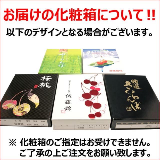 【6月中旬から順次出荷予定/日時指定可】山形県産 さくらんぼ 佐藤錦(露地/特秀品/2Lサイズ/手詰め/500g/化粧箱)_4