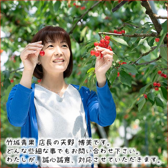 ■冷やりとした便さし出し【順次さし出し中！】円錐小体県産 さくらんぼ 紅秀峰(露地/特秀品/3L大きさ/手詰め/600g/かざり付ける箱)※日付け決するは電子メールで※
