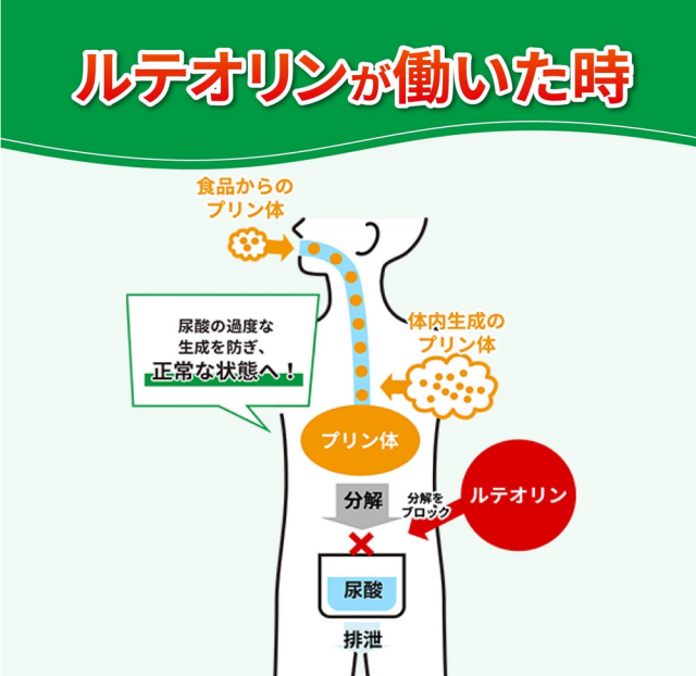 小林製薬 尿酸ヘルプ 60粒(30日分) 10個セット【機能性表示食品】【送料無料/ネコポス発送】_2