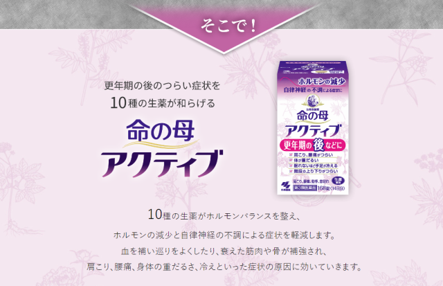 88％以上節約 命の母アクティブ 168錠入り×1個 女性保健薬 更年期の後などに ホルモンの減少 肩こり 腰痛 だるさ 手足の冷え 