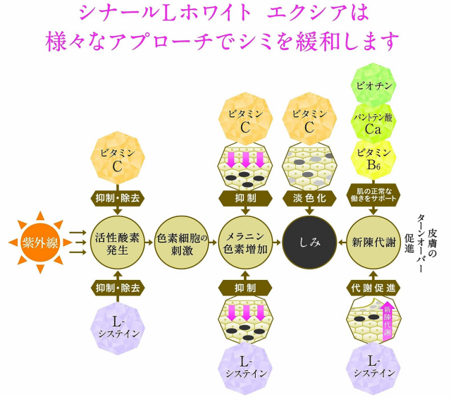 第3類医薬品】シオノギ シナールL ホワイト エクシア 180錠 3個セット【送料無料】ビタミンC剤の通販はau PAY マーケット -  朝の目覚めショップ | au PAY マーケット－通販サイト