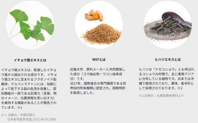 大木製薬 ブレインアシスト イチョウ葉New 60粒 5個セット【送料無料】【機能性表示食品】イチョウ葉エキス_4