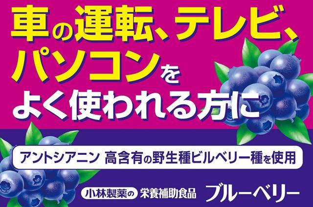 小林製薬 ブルーベリー お徳用 60粒 8個セット【送料無料/ネコポス発送】_1