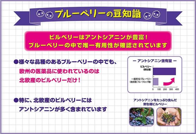 小林製薬 ブルーベリー お徳用 60粒 8個セット【送料無料/ネコポス発送】_2