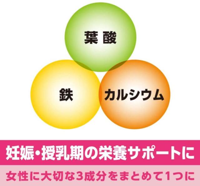 小林製薬 葉酸 鉄 カルシウム 90粒 12個セット【送料無料/ネコポス発送】_2