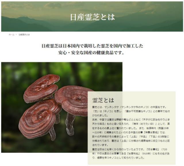 日産化学 日産霊芝 粒状 (2粒×50袋) 3個セット【送料無料】マンネンタケ_1