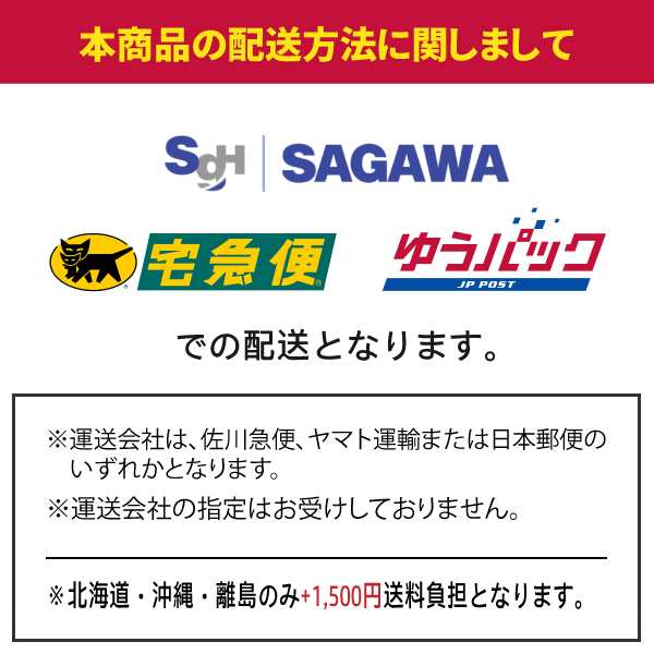 生パスタ フェットチーネ リングイネ スパゲティ 12袋 送料無料（北海道・沖縄・離島+1500円）業務用 グルメ 食品 大容量 まとめ買い  アの通販はau PAY マーケット - 築地ばんや