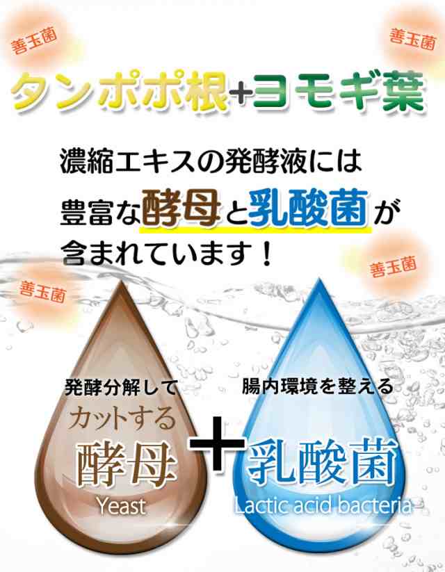 ばんのう酵母くん 23ml 【3本セット】 お試し アーデンモア 正規品