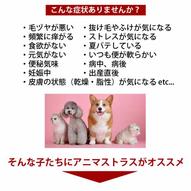 アニマストラス　顆粒　400g　犬・猫・ペット用サプリメント (sp146)