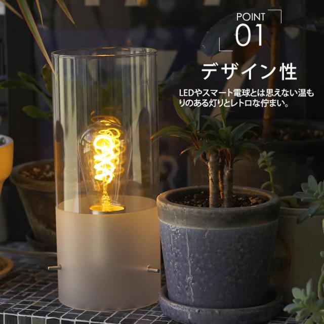 5個セット】スマートLED電球 エジソンバルブLEDスマートDUO デュオ E26