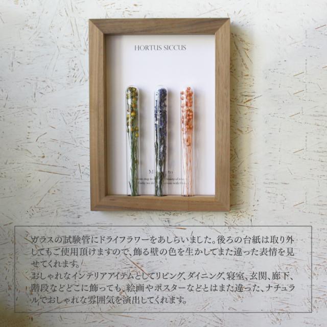 お花付 すぐ飾れる フラワーフレーム Moemento ボタニカルフレーム