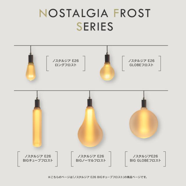 【5個セット】調光器対応 E26ノスタルジアBIGチューブフロスト エジソンバルブLED エジソン電球 フロストガラス 艶消し マット すりガラス 3.5W 大きい 長い 筒型電球 円筒型 眩しくない 電球色 レトロ 暗め ビッグ シリンダー電球 飲食店 寝室 LED電球 ランプ