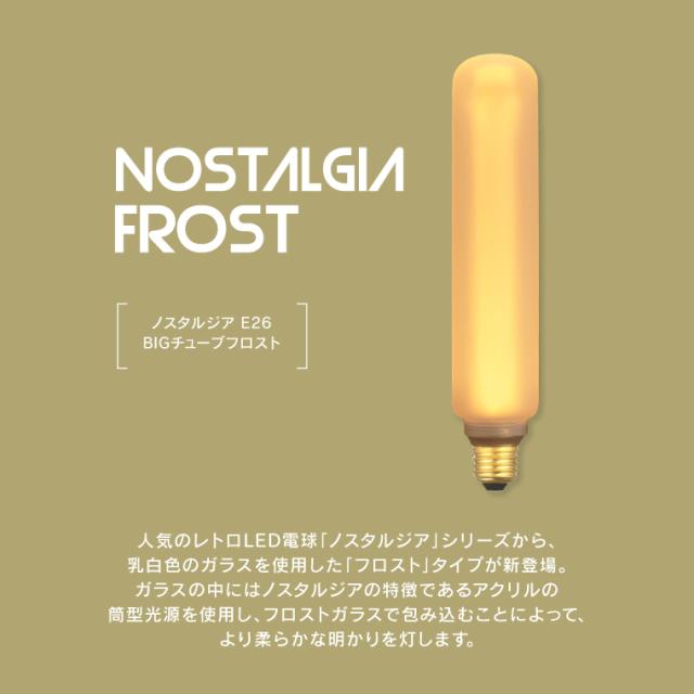 【5個セット】調光器対応 E26ノスタルジアBIGチューブフロスト エジソンバルブLED エジソン電球 フロストガラス 艶消し マット すりガラス 3.5W 大きい 長い 筒型電球 円筒型 眩しくない 電球色 レトロ 暗め ビッグ シリンダー電球 飲食店 寝室 LED電球 ランプ