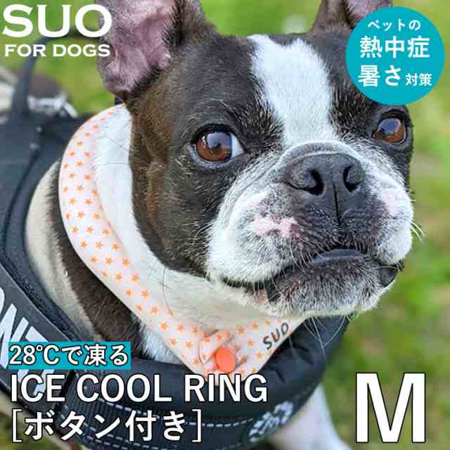 アイスリング　SUO Mサイズ