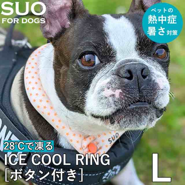 SUO アイスリング L サイズ ブラック 黒 28℃ 2個 セット