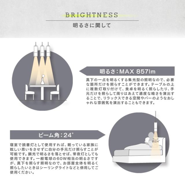 単品】エジソンスマート ペンダントライト ダクトレール用