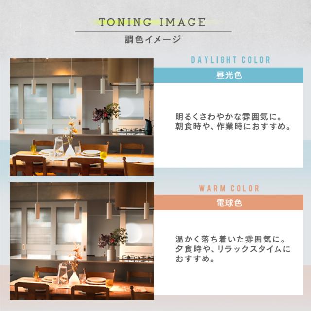 単品】エジソンスマート ペンダントライト ダクトレール用