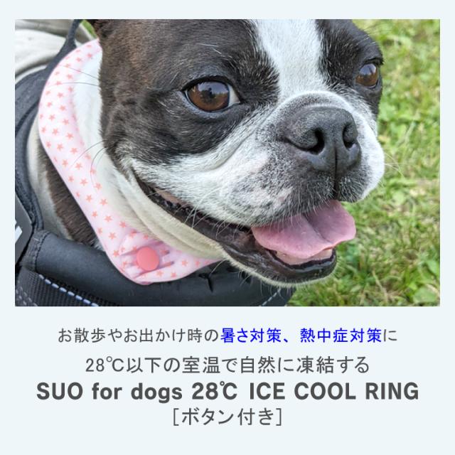 クールリング 犬 Mサイズ 花柄 ボタン付き Bucci Boo 正規販売店】2026モデル SUO クールリング for dogs ボタン付き 28