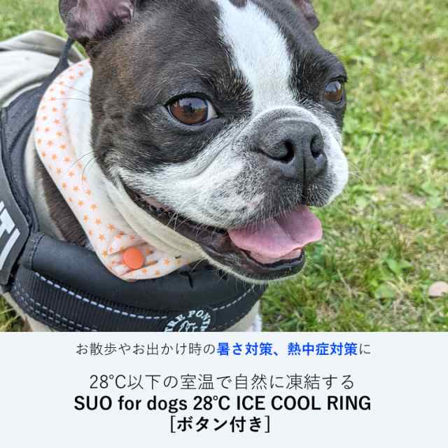 正規販売店】2024モデル SUO クールリング for dogs ボタン付き 28℃ ICE COOL RING SSサイズ 28℃  アイスクールリング スオ 犬用 アイの通販はau PAY マーケット - Life is... | au PAY マーケット－通販サイト