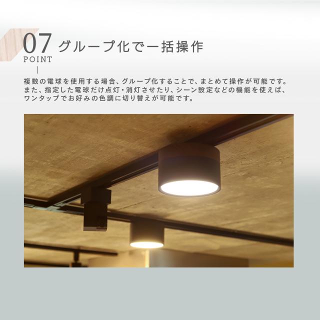 2個セット/ウッド調] エジソンスマート ミニシーリングライト スマート